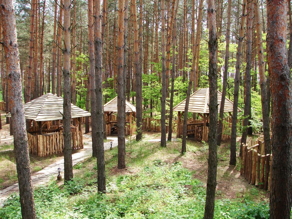 Pershyi Kordon Tourist Complex Hotel Medvedevka Eksteriør billede